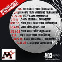 Youth Volleyball Tournament