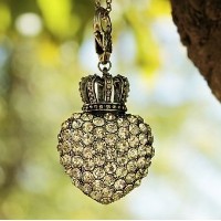 Monticello Royal Ambassador Candidate Experience Informational Meeting