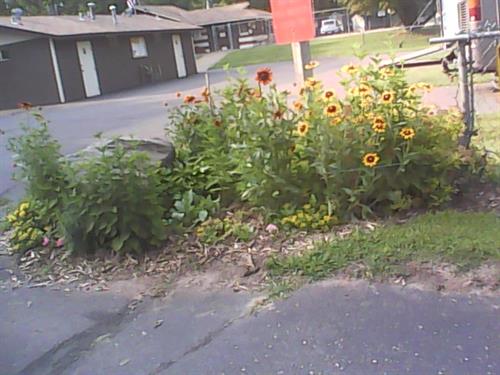 Nice flower beds around campgrounds. 7-2-2015 photo