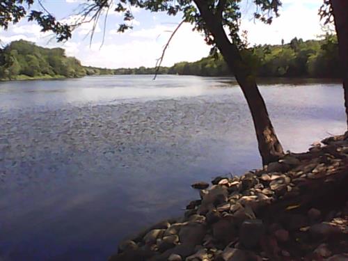 Site 71 view of Mississippi River.  Photo 7-29-2015