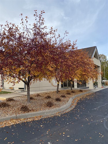 Trinity Lutheran Church