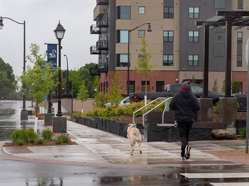 Resident walking dog in Downtown Montiello.