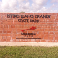 Estero Llano Grande Spooky Science Fest: Dragons over Estero