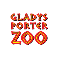 Gladys Porter Zoo: Ridley Rush 5K/1 Mile