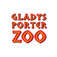 Kids Appreciation Aay at Gladys Porter Zoo- presented by HEB