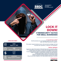 Lock It Down! Cybersecurity Tactics for Small Businesses