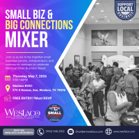 Networking Mixer: Small Biz & Big Connections