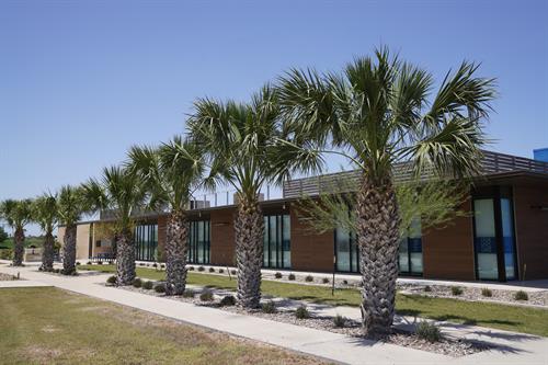 Exterior Shot of RGV Campus with Palm Trees