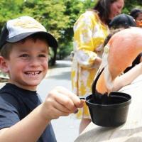 Gladys Porter Zoo Celebrates its 21st Annual Kids Appreciation Day