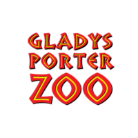 Gladys Porter Zoo Unleashes Dinosaurs in New Limited-Time Exhibit