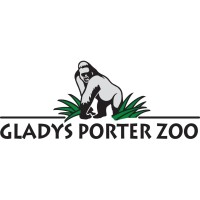 Gladys Porter Zoo Hosts Annual Ocelot Run