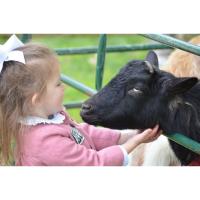 Family Farm Days at Shaker Village of Pleasant Hill