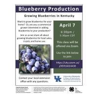 Extension Office - Blueberry Production in Kentucky - Zoom Meeting