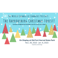 Harrodsburg Christmas Forest!