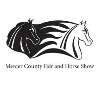 Mercer County Fair and Horse Show Road Horse & Pony Show
