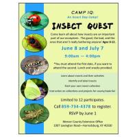 Insect Quest Day Camp!