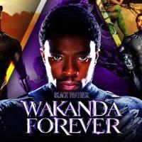 Saturday Matinee - Black Panther: Wakanda Forever at the Library