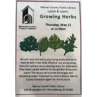 Growing Herbs 