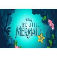 Disney's The Little Mermain, Jr at The Ragged Edge Community Theatre