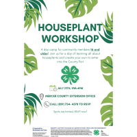 Houseplant Workshop