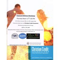 Financial Wellness Workshop