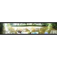 Kentucky River Clean-Up 2015