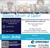 Supporting Transitional Age Youth