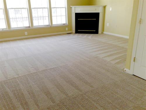 Cleaned Carpets 