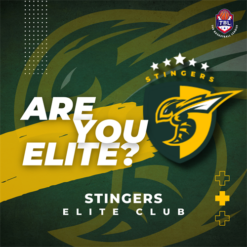 Stingers Elite Club