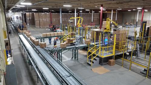 Robotic Palletizers with Infeed Conveyor