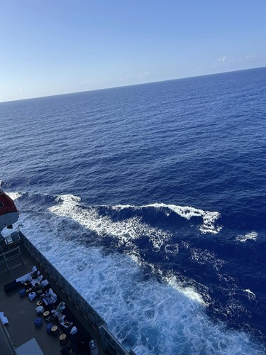 Cruise View