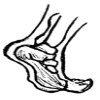 Lenny's Pedorthics & Orthopedics Lenny's Pedorthics & Orthopedics