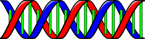 Gallery Image Anonymous-Double-Helix-DNA.png Gallery Image Anonymous-Double-Helix-DNA.png