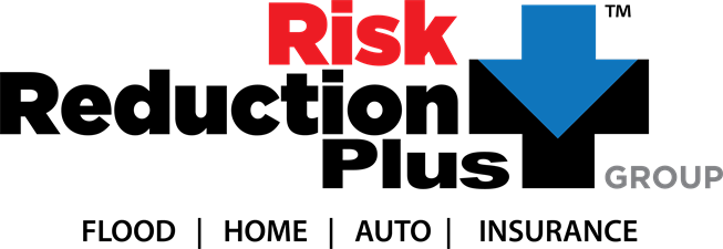 Risk Reduction Plus Group 