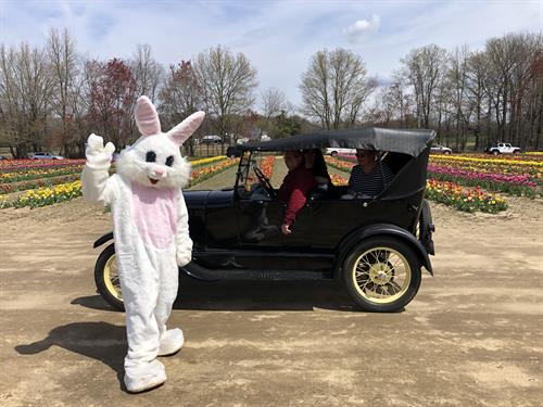Easter Bunny at Dalton Farms