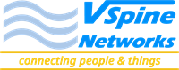 VSpine Networks & Advisors, LLC