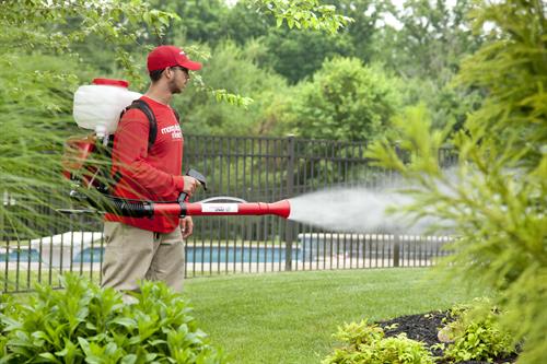 Our highly-trained technicians are ready to help you take back your yard! 