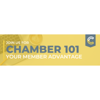 Virtual Chamber 101 Sessions