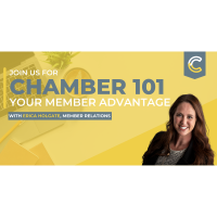 Virtual Chamber 101 Sessions