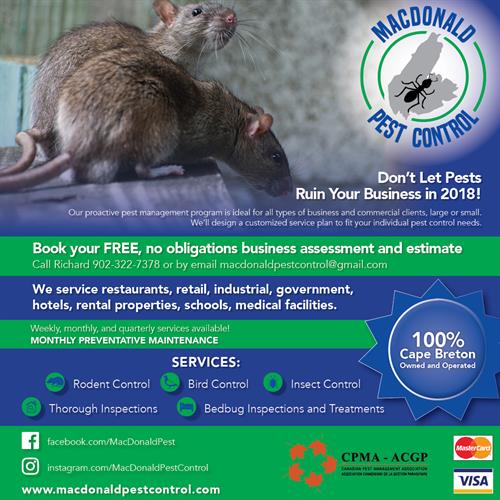 Pest Control for Your Business Pest Control for Your Business