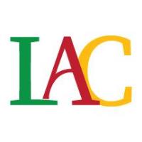 Art in the Afternoon