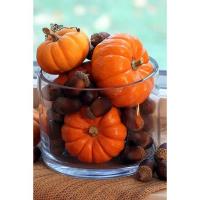 Lander Senior Citizens Center - Lander