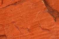 “Red Canyon Petroglyph Trek”