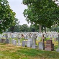 "Mt. Hope Cemetery Trek"