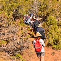 Red Canyon Petroglyph Trek