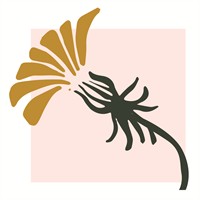 Beginner Cut Flower Garden Class at Dandelion Farm & Floral