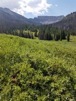 Wind River Visitors Council Adventure Trek Series: Bonneville Pass Adventure Trek