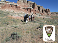 Wild Plants of the Mason Draw with Lynn Steward and Dr. Randall Terry