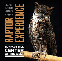 "The Draper Raptor Experience"