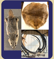 "Rocky Mountain Rendezvous Day"